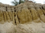 pebblish soil- Pauk